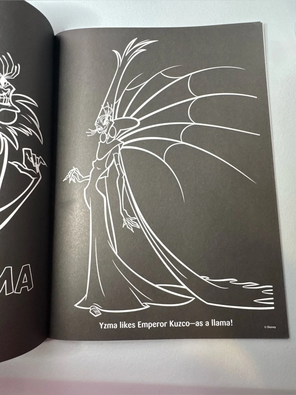 Disney Villains Coloring Book with black pages bonus coloring crayons
